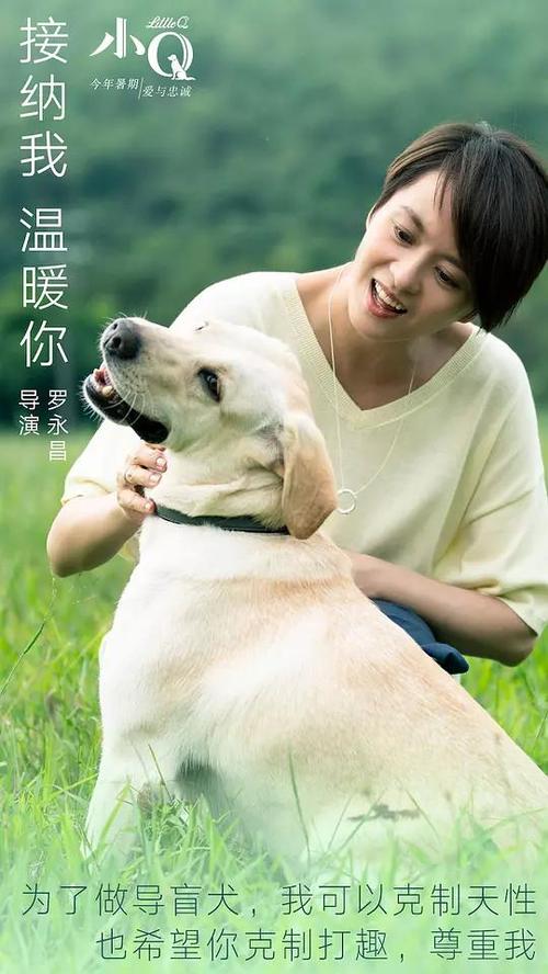 怎么买假的日本金城學院大學学位证